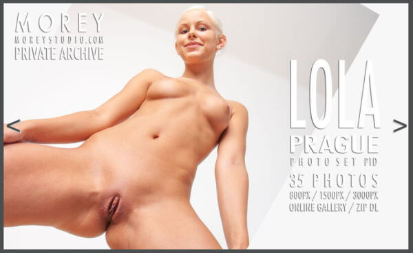 Moreystudio discount